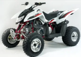  Квадроцикл ACCESS SP 300 SPORT