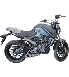 Мотоцикл RACER RC250XZR-X CAIMAN