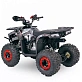 Квадроцикл  YACOTA SIRIUS 110			 			
