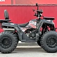 Квадроцикл GBM CROSS HILL 300