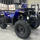Квадроцикл PROMAX WILD 300