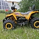 Квадроцикл PROMAX STORM 300сс LUX
