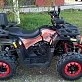 Квадроцикл PROMAX WILD 300 LUX