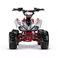 Квадроцикл ACCESS AMS 110 MINISPORT