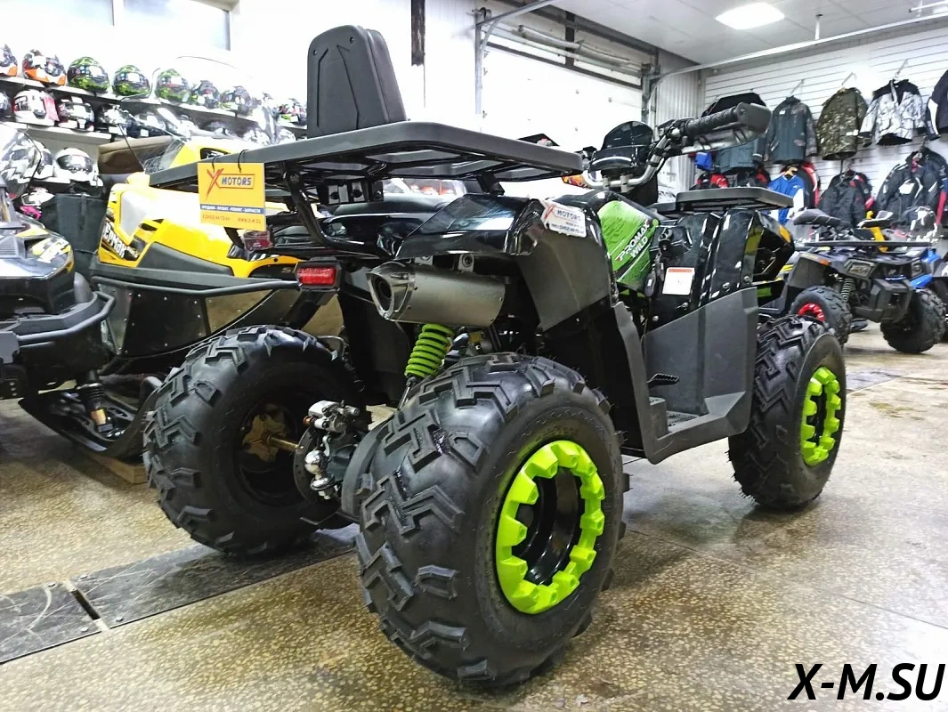 Квадроцикл PROMAX WILD 300 LUX