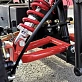Квадроцикл PROMAX E-MINI 2.0 1000W
