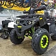 Квадроцикл PROMAX WILD 300 LUX