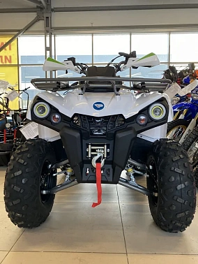 Квадроцикл PROMAX RENEGADE 300 WINCH