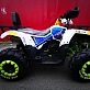 Квадроцикл PROMAX WILD 300 LUX