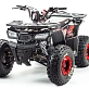 Квадроцикл PROMAX WILD 175