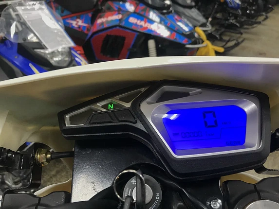 Мотоцикл RACER RC300-GY8A Enduro 300 PRO SPORT