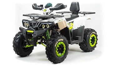 Квадроцикл PROMAX WILD 300 LUX (2024)
