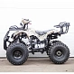 Квадроцикл STALKER 125 Fox