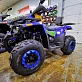 Квадроцикл PROMAX WILD 300 LUX