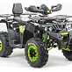 Квадроцикл PROMAX WILD 300 LUX
