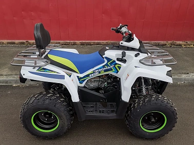 Квадроцикл PROMAX RENEGADE 300 LUX