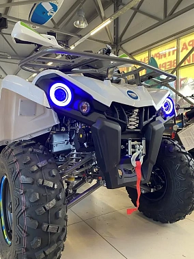 Квадроцикл PROMAX RENEGADE 300 WINCH