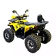 Квадроцикл Bison Fisher 125 Lux