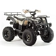Квадроцикл PROMAX ATV 250