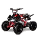 Квадроцикл ACCESS AMS 110 MINISPORT
