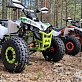 Квадроцикл PROMAX SCORPION 180