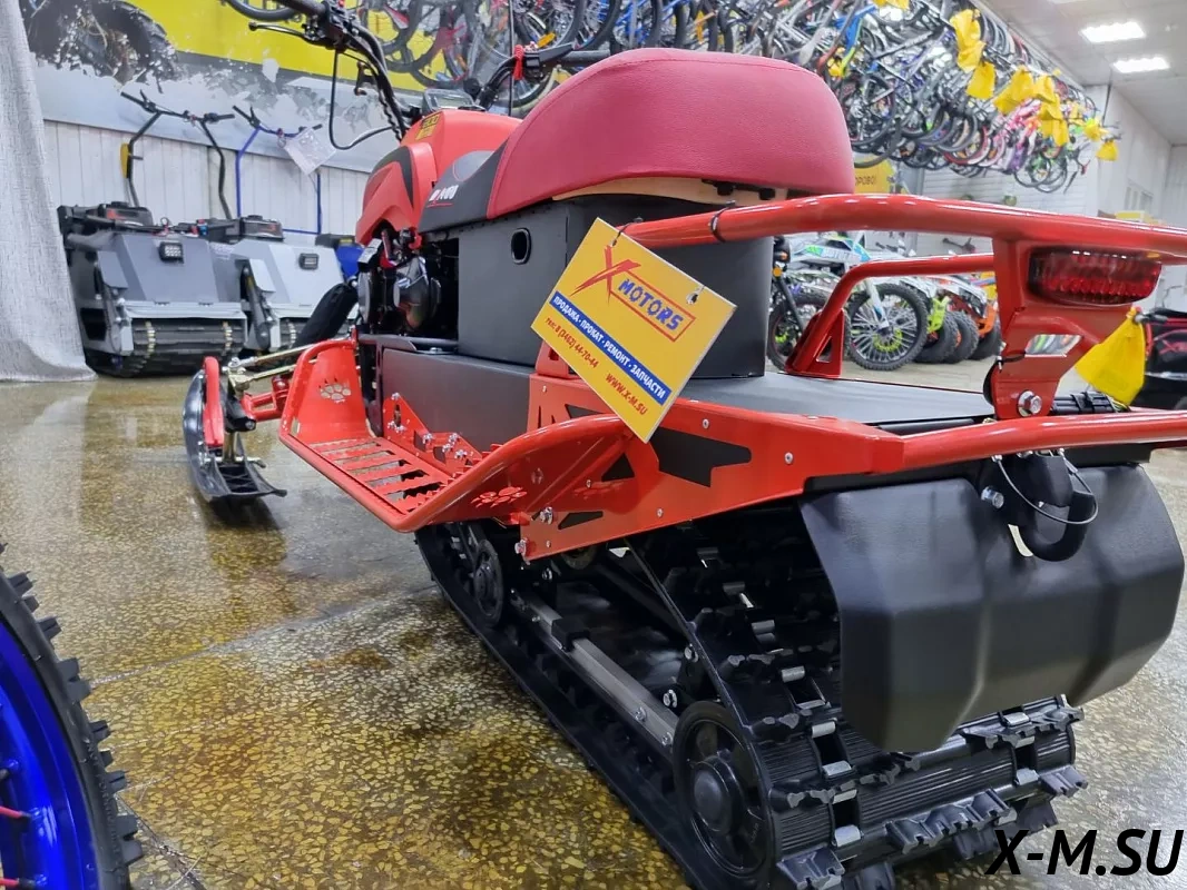 Снегоход IRBIS DINGO T200 25/26