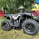 Квадроцикл PROMAX ATV 250