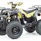 Квадроцикл PROMAX ATV 300