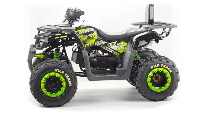 Квадроцикл PROMAX WILD 300 LUX (2024)