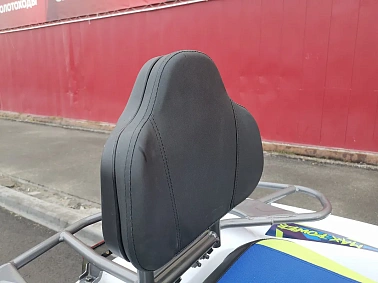 Квадроцикл PROMAX RENEGADE 300 LUX