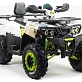 Квадроцикл PROMAX WILD 300 LUX