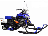 Запчасти для снегохода IRBIS Dingo T150/T170/T200 (2016 г.в.)