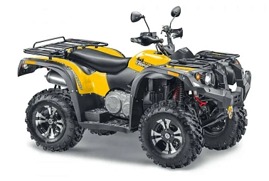Квадроцикл STELS ATV 600 YL LEOPARD K01