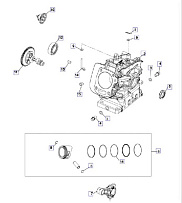 Группа картерная для СММ РЫБИНКА M10000010-01 (ВЫПУСК С 09.2012 ПО 10.2013)