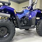 Квадроцикл PROMAX WILD 300