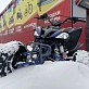 Квадроцикл PROMAX RAPTOR 320 RedBull