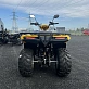 Квадроцикл IRBIS ATV 250