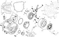 Генератор ДВИГАТЕЛЯ Racer ZS177MM 250 cc RC250-GY8A Ranger