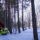 Мотобуксировщик POMOR X-1 PRO K7.5 (8)