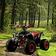Квадроцикл PROMAX WILD 190 PRO-LINE