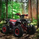 Квадроцикл PROMAX WILD 190 PRO-LINE