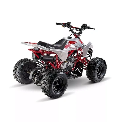 Квадроцикл ACCESS AMS 110 MINISPORT