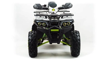 Квадроцикл PROMAX WILD 300 LUX (2024)
