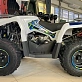 Квадроцикл PROMAX RENEGADE 300 WINCH