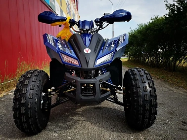 Квадроцикл MOTOLAND (МОТОЛЕНД) 125 COYOTE PRO