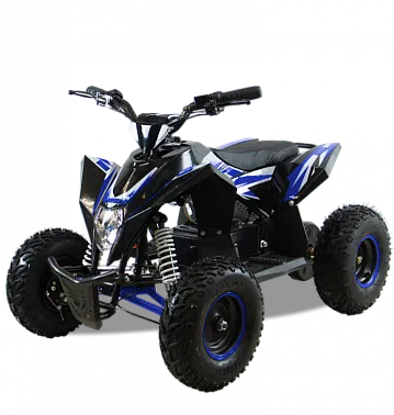 Детский электро квадроцикл MOTAX GEKKON 1300W