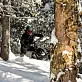 Сноубайк Widescape WS250