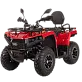 Квадроцикл Bizon YK250 BASIC CARB