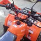 Квадроцикл ATV Termit Libre