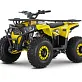 Квадроцикл WELS Trail 125